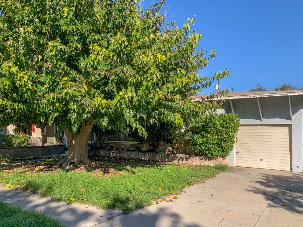 320 S Glenwood Pl 48