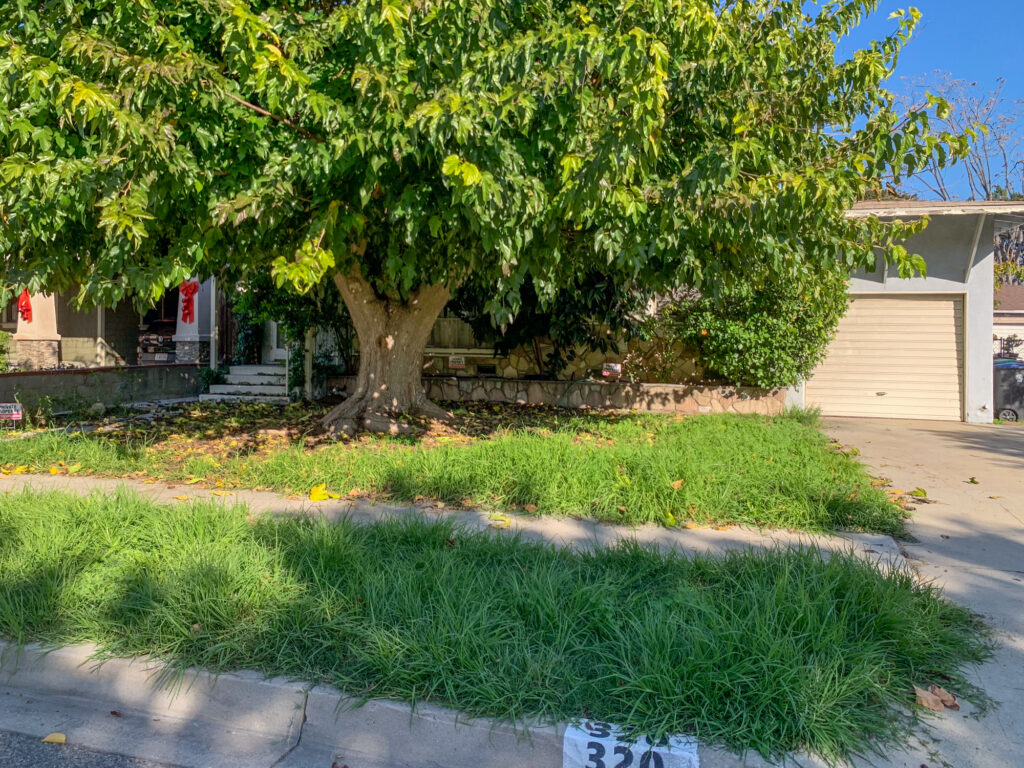 320 S Glenwood Pl 49