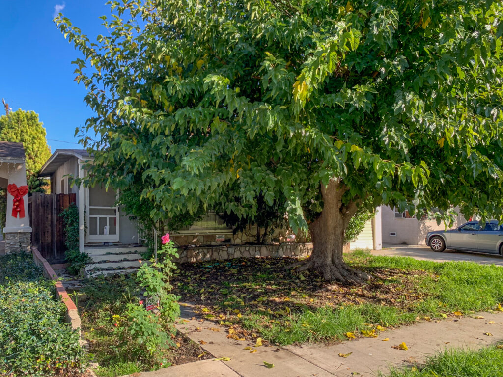 320 S Glenwood Pl 51