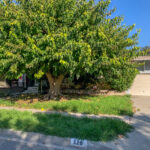 320 S Glenwood Pl 52