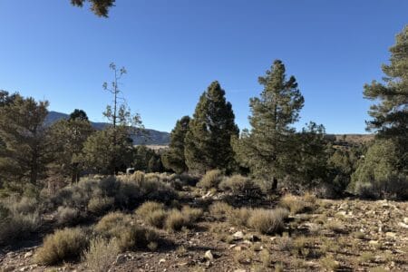 Img 2689 (1)